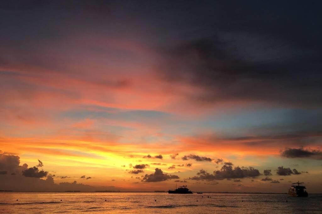 Casa El Quinto Elemento, Departamento Tierra! Lägenhet Isla Mujeres Exteriör bild